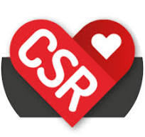 The International CSR Excellence logo